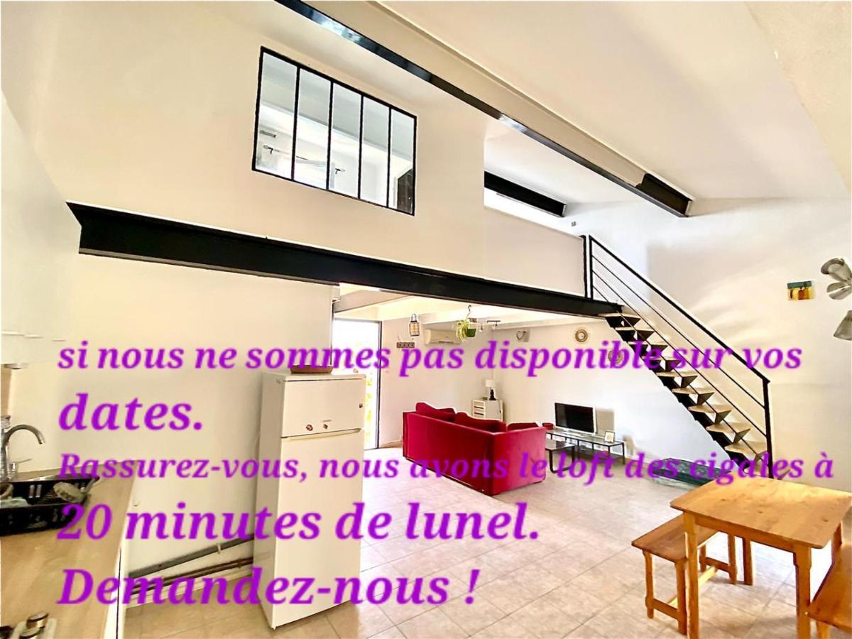 Loft Ambrussum, Jacuzzi, Jardin,Bbq Villa Lunel  Kültér fotó
